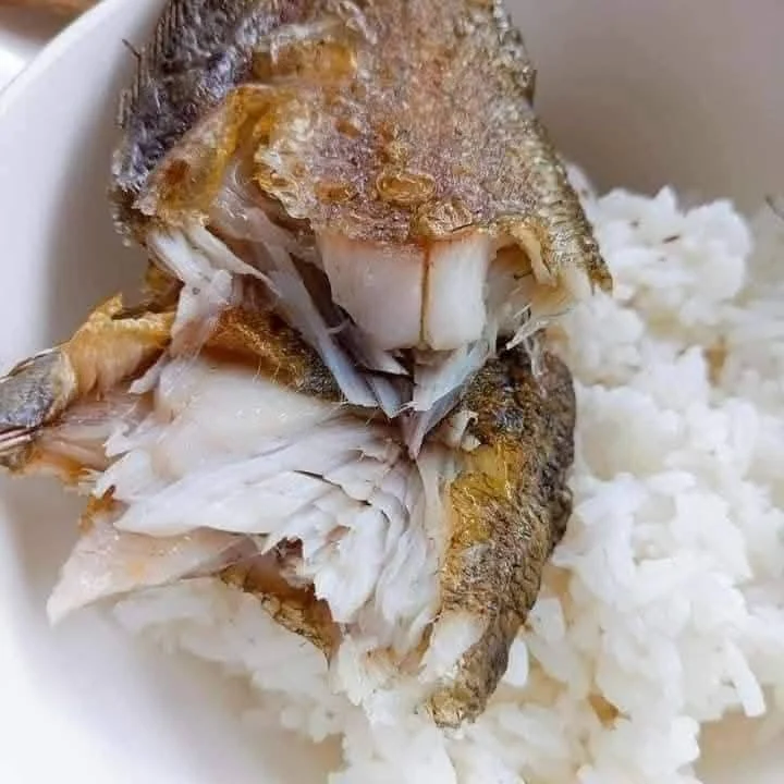 KHÔ CÁ SHIP XUYÊN BANG