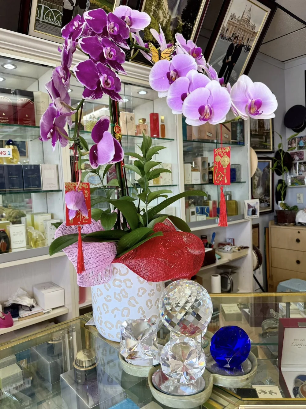 SANG TIỆM MỸ PHẨM – NƯỚC HOA – THỰC PHẨM CHỨC NĂNG - Nail Salons for Sale in Westminster, California, United States - image 3