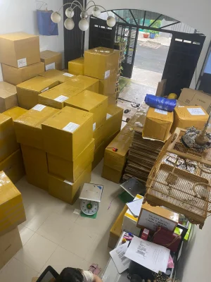 Dịch vụ chuyển phát nhanh quốc tế