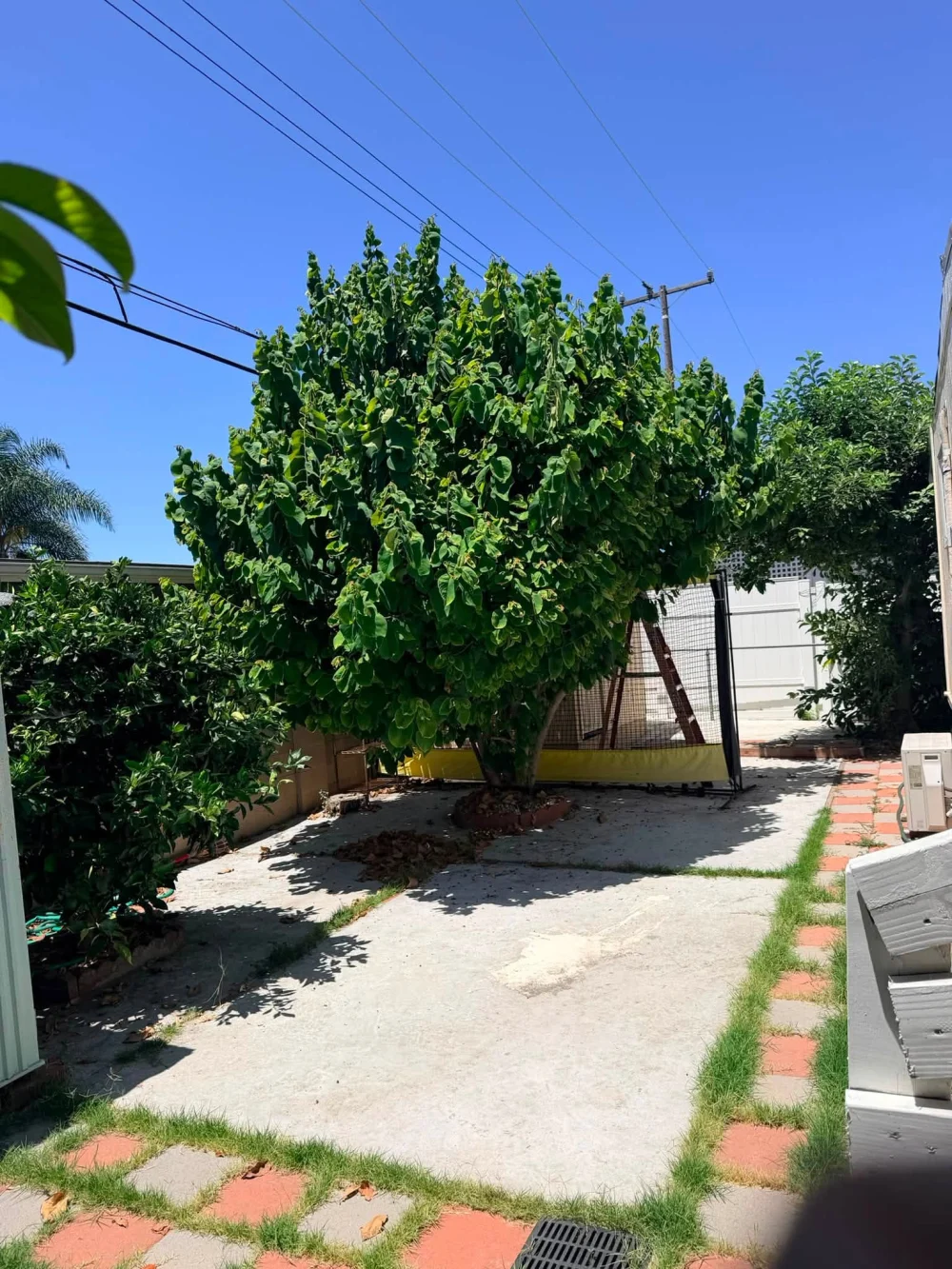 Bán Mobile Home 3 Phòng Ngủ Ở Santa Ana CA - Housing / Room for Rent in Santa Ana, California, United States - image 4