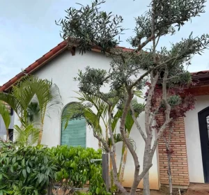 Cho thuê phòng riêng Newhope & Edinger, Santa Ana – $1,550/tháng - Nhà ở / Thuê phòng tại Santa Ana, CA, US